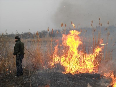 Picture 017 (Medium).jpg