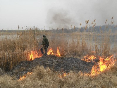 Picture 016 (Medium).jpg