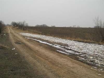 Picture 012 (Medium).jpg