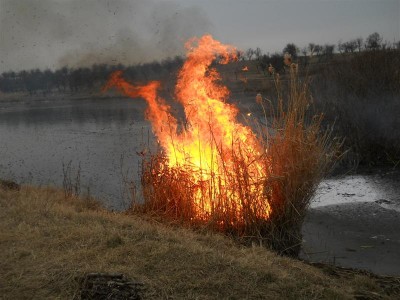 Picture 036 (Medium).jpg