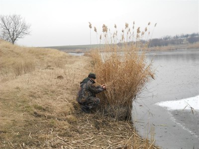 Picture 033 (Medium).jpg