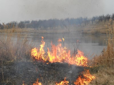 Picture 020 (Medium).jpg