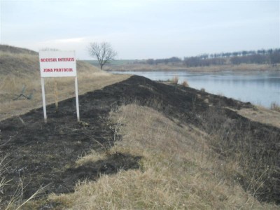 Picture 051 (Medium).jpg