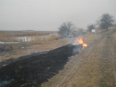 Picture 040 (Medium).jpg