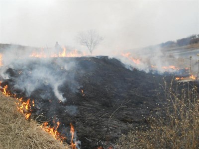 Picture 038 (Medium).jpg