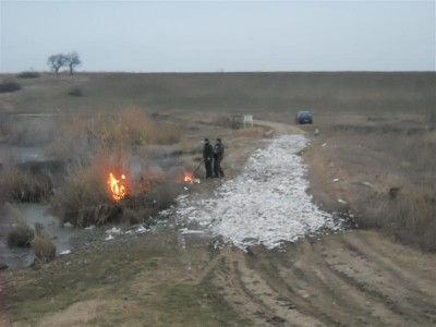 Picture 053 (Medium).jpg