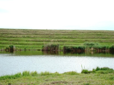 DSC02587.JPG