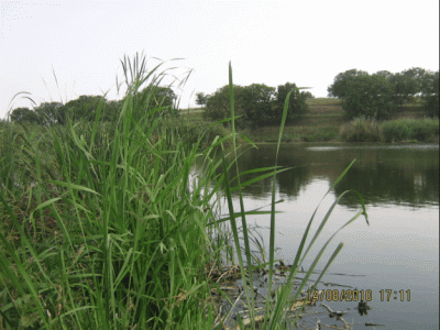 ScreenHunter_04 Aug. 16 09.48.gif