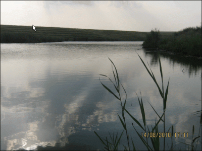 ScreenHunter_05 Aug. 16 09.49.gif