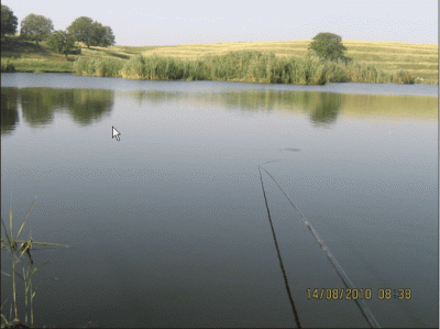 ScreenHunter_07 Aug. 16 09.49.gif