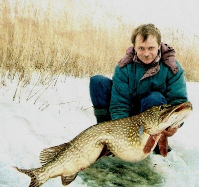 image_375.jpg