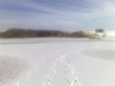050220111199 (Small).jpg
