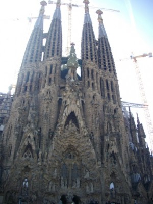 IMGP8941.JPG
