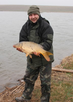 FISH.jpg
