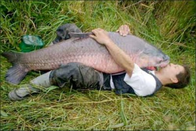 Funny_fish_Pictures_17.jpg