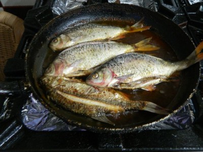 Rosioare pt Biju.jpg