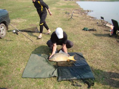 DSC03541.jpg