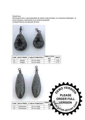 OFERTA 2012..jpg