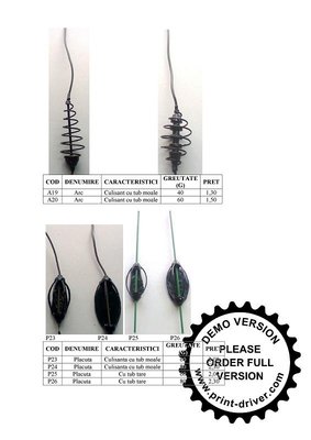 OFERTA 2012.(14).jpg