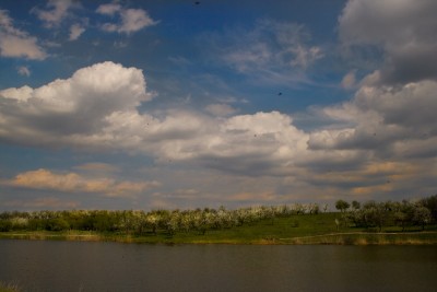 _MG_7339s.jpg