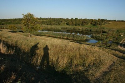 IMG_4444.JPG