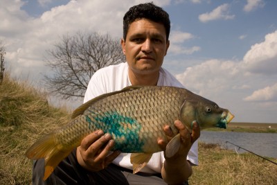 _MG_7346.jpg