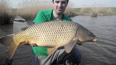 2014409163138 (Medium).jpg