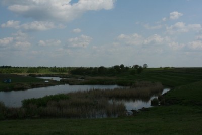 IMG_6112.jpg