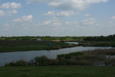 IMG_6113.jpg
