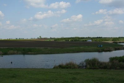 IMG_6114.jpg
