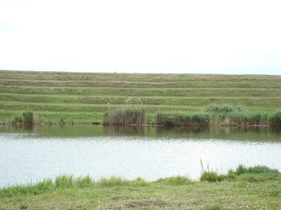 DSC02587.JPG