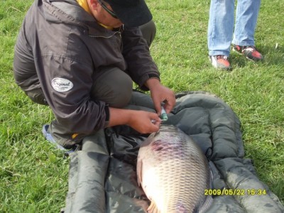 SDC12112zz.jpg